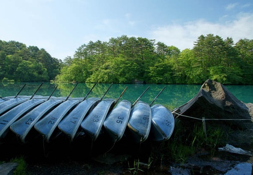 201006070805-DSC06550.jpg