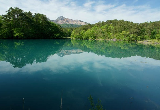201006070807-DSC06553.jpg