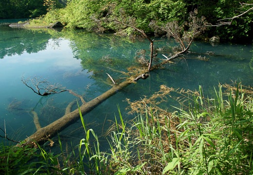201006070813-DSC06564.jpg