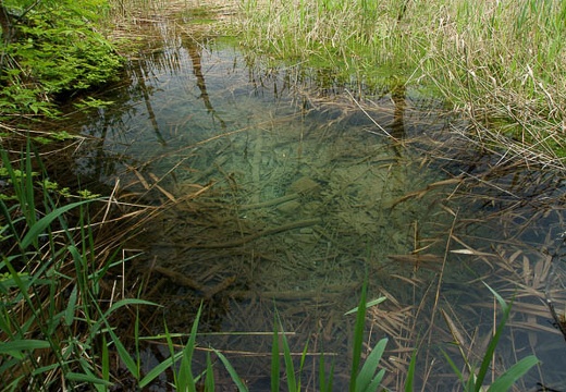 201006071015-DSC06763.jpg