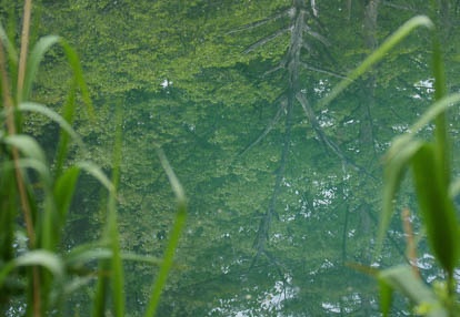 201006071026-DSC06785.jpg