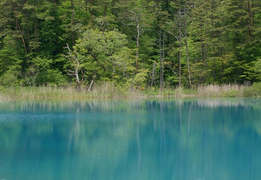 201006071040-DSC06805.jpg
