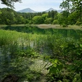 201006071130-DSC06917.jpg