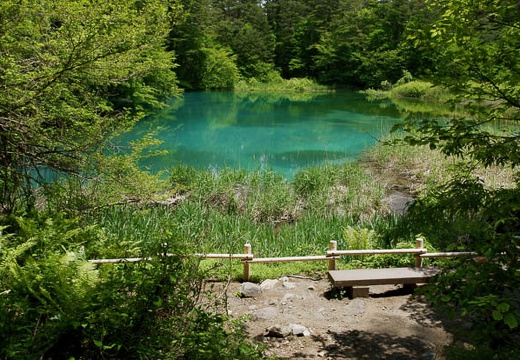 201006071148-DSC06952.jpg