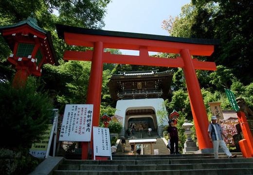 201006101102-DSC07680.jpg