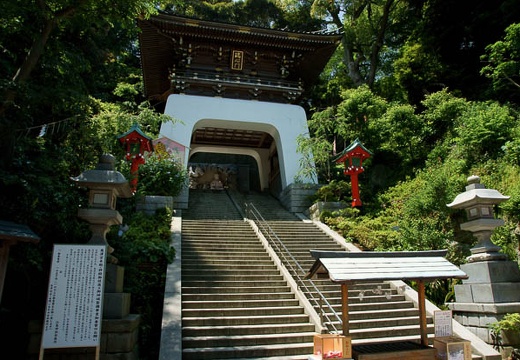 201006101104-DSC07685.jpg
