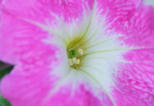 201006101158-DSC07776.jpg