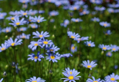 201006101217-DSC07816.jpg