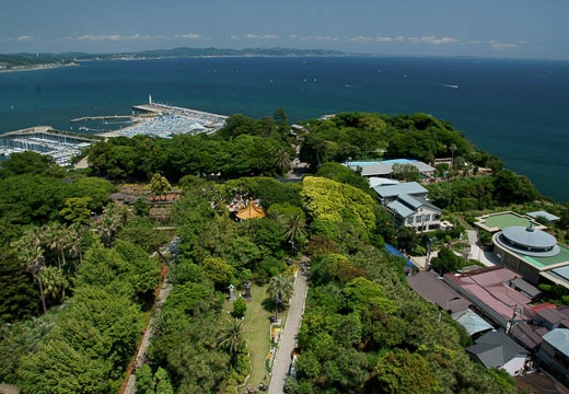 201006101253-DSC07877.jpg