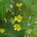 201006111449-DSC08310.jpg