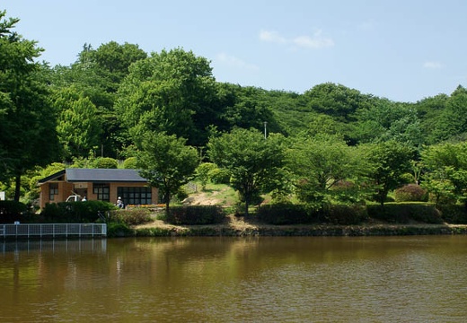 201006121337-DSC08686.jpg