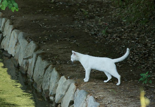 201006121454-DSC08812.jpg