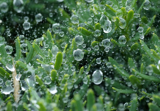 201006141333-DSC09025.jpg