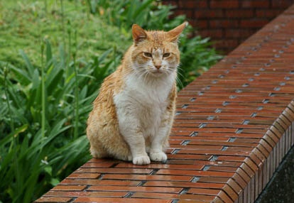 201006141347-DSC09054.jpg