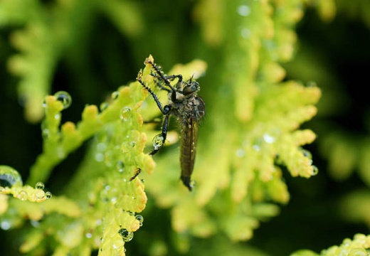 201006141353-DSC09058.jpg