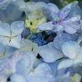 201006141435-DSC09139.jpg