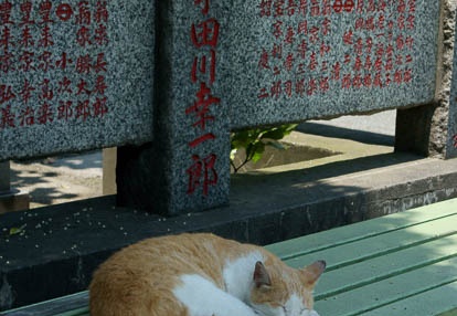 201006151130-DSC09357.jpg