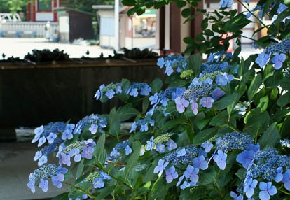 201006151146-DSC09388.jpg