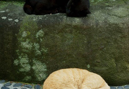 201006151155-DSC09405.jpg
