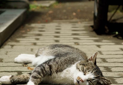 201006151206-DSC09423.jpg