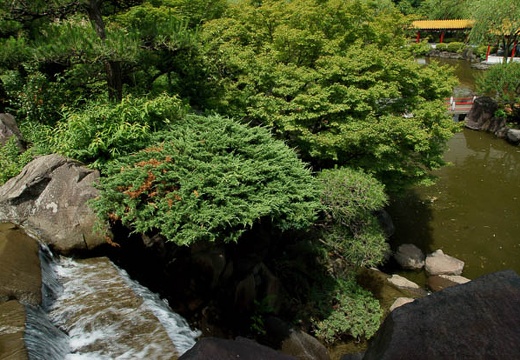 201006151319-DSC09574.jpg