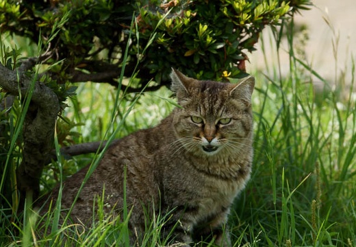 201006151414-DSC00055.jpg