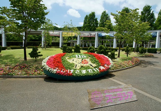 201006161240-DSC00087.jpg
