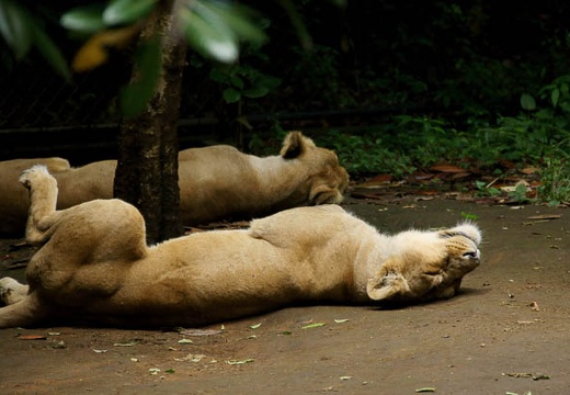 201006161305-DSC00143.jpg