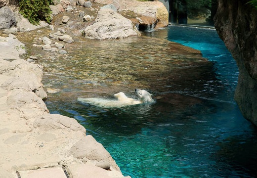 201006161329-DSC00297.jpg