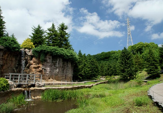 201006161338-DSC00318.jpg