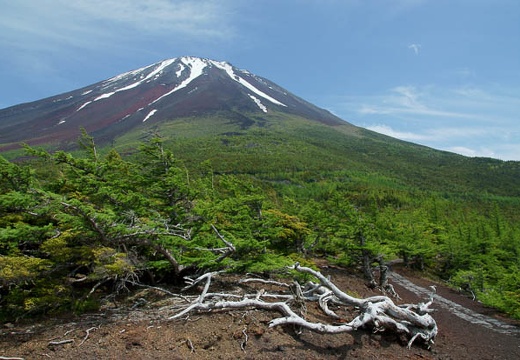 201006171321-DSC00702.jpg