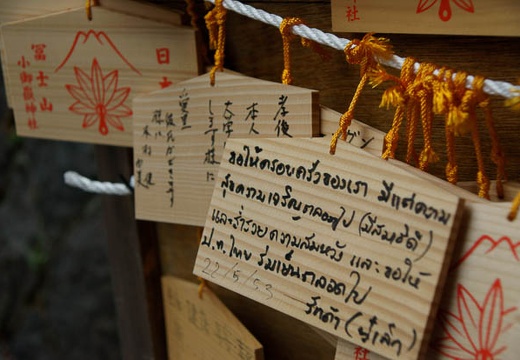 201006171422-DSC00805.jpg