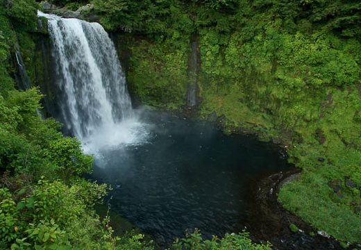 201006171635-DSC00880.jpg
