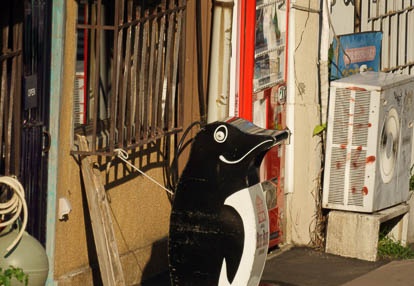 201006241716-DSC01574.jpg