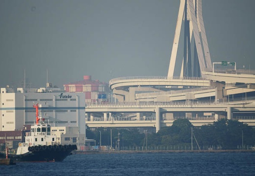 201006241731-DSC01599.jpg
