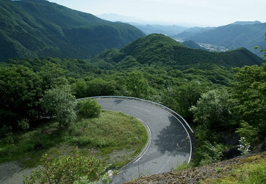 201006250705-DSC01639.jpg