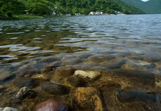 201006250747-DSC01691.jpg