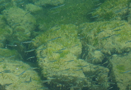 201006250803-DSC01711.jpg