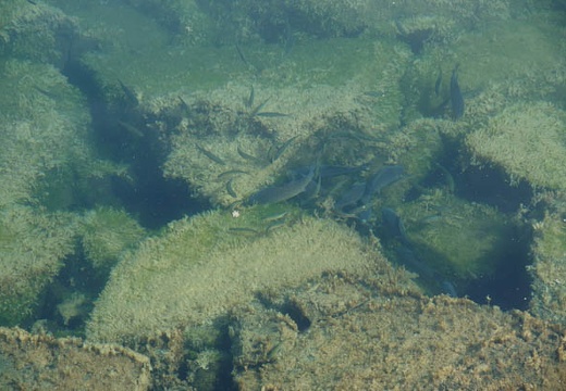 201006250835-DSC01780.jpg