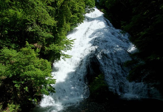 201006250909-DSC01796.jpg