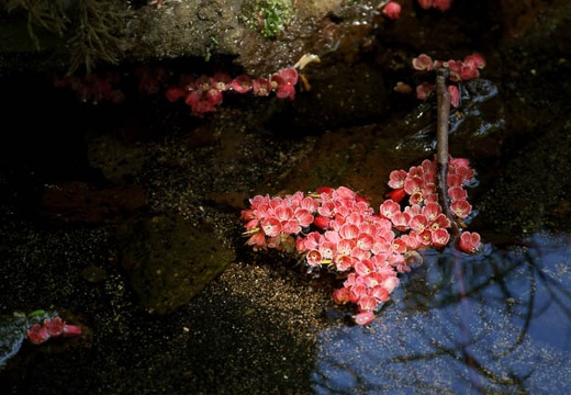 201006250951-DSC01867.jpg