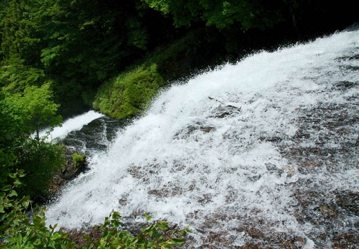 201006251111-DSC01992.jpg