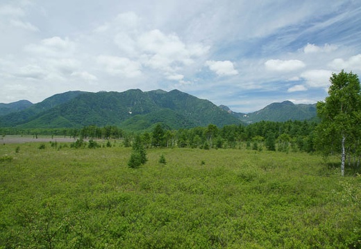 201006251125-DSC02004.jpg