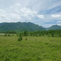 201006251125-DSC02004.jpg