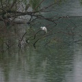 201006290600-DSC02256.jpg
