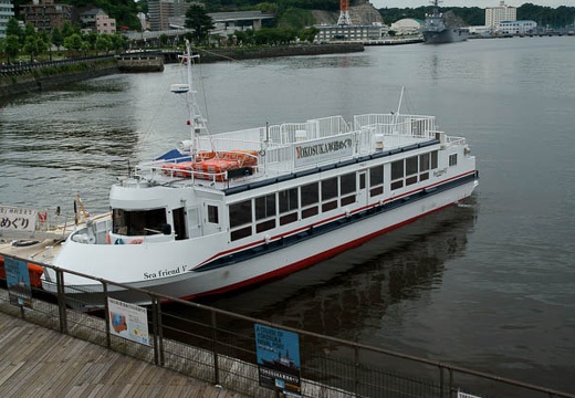 201006301447-DSC02356.jpg