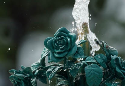 201006301513-DSC02385.jpg