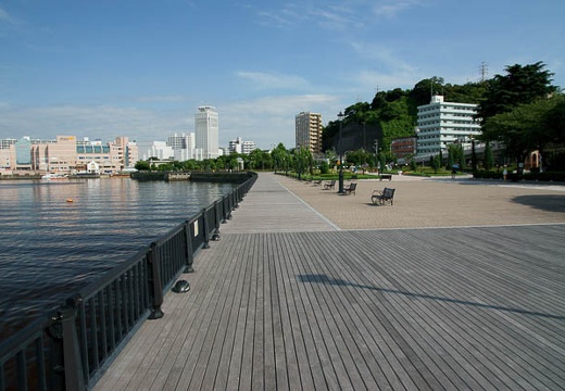 201006301528-DSC02407.jpg