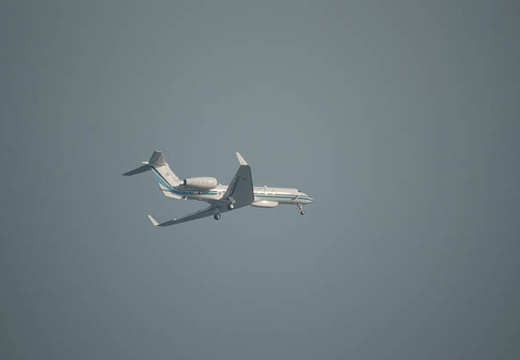 201007081639-DSC02813.jpg