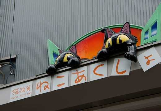 201007091240-DSC02830.jpg